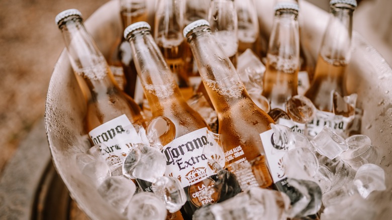 Corona beers in an ice bucket